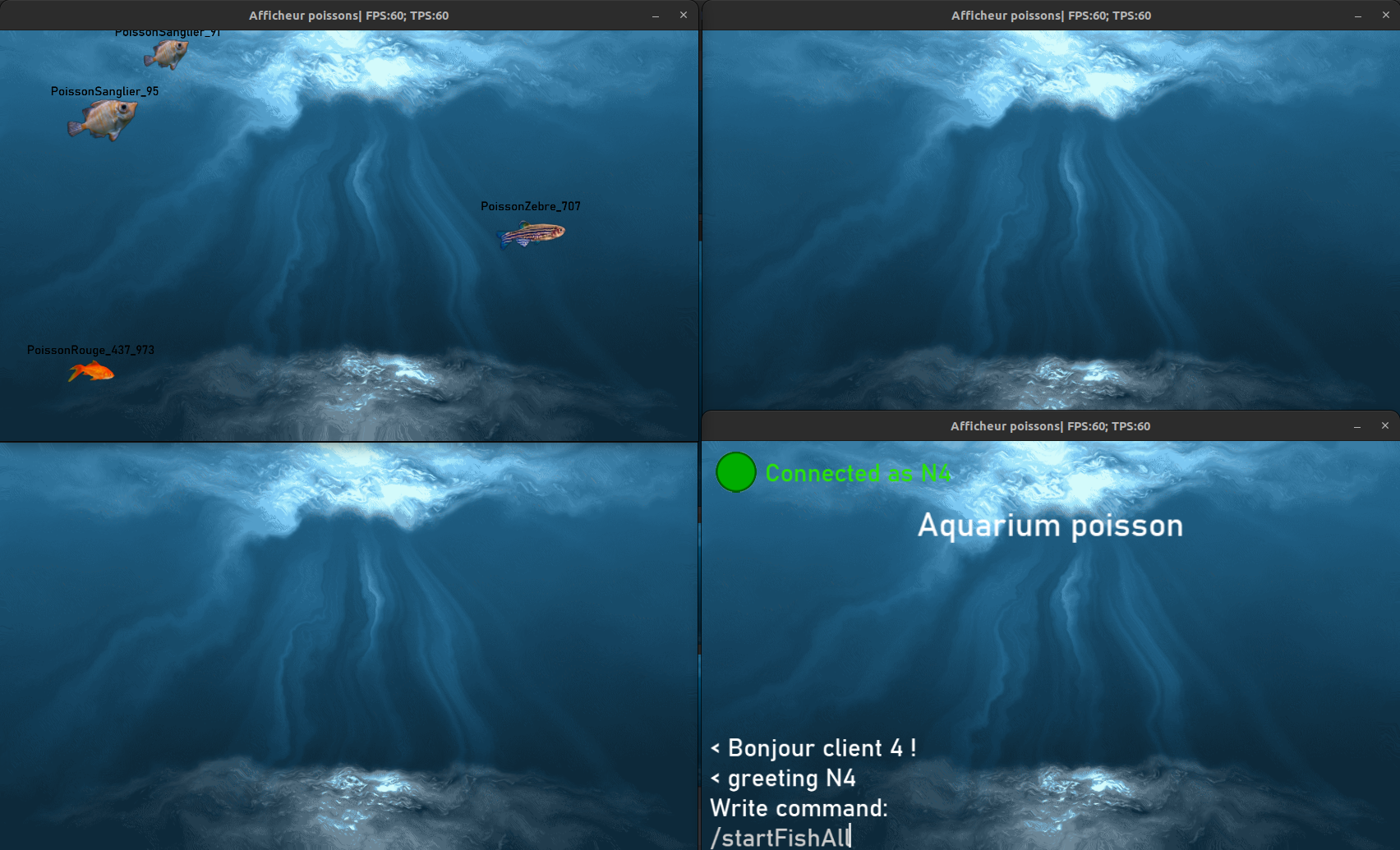 For clients are created and form an aquarium.
