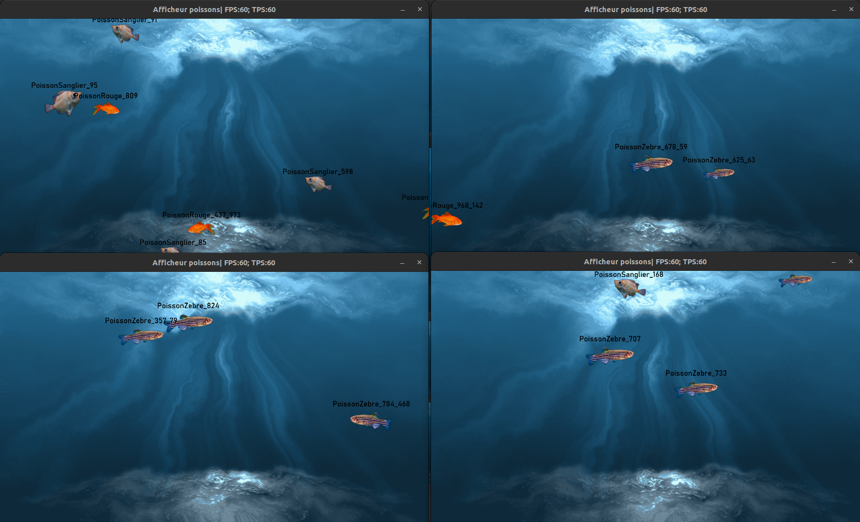 Fishes move from screen to screen.